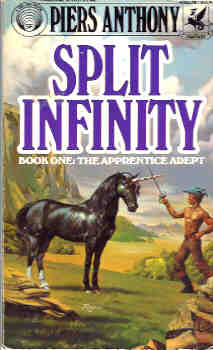 Image for Split Infinity