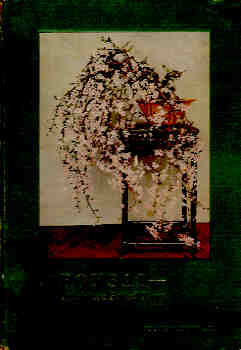 Image for Bonsai - Miniature Potted Trees
