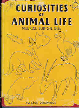 Image for Curiosities of Animal Life