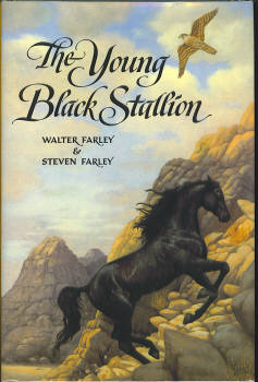 The Young Black Stallion Image for The Young Black Stallion