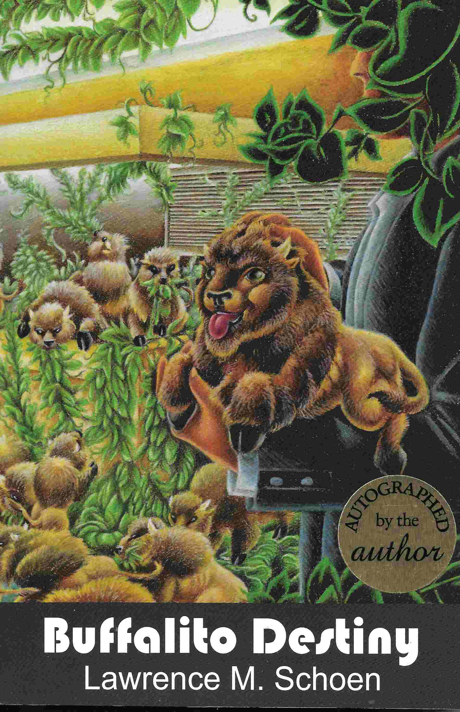 Image for Buffalito Destiny (Amazing Conroy Series # 1)